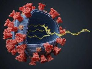 SARS-COVID Vvírus RNS extrakció
