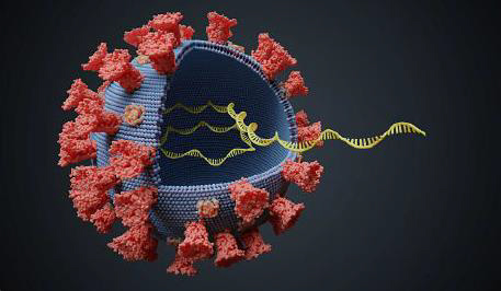 SARS-COVID Vvírus RNS extrakció